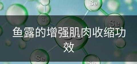 鱼露的增强肌肉收缩功效